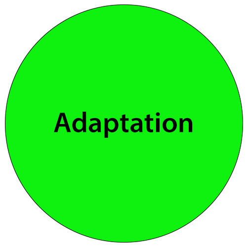 Adaptation