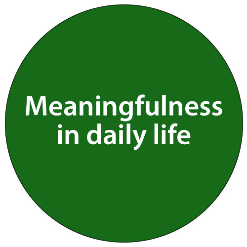 Meaningfulness