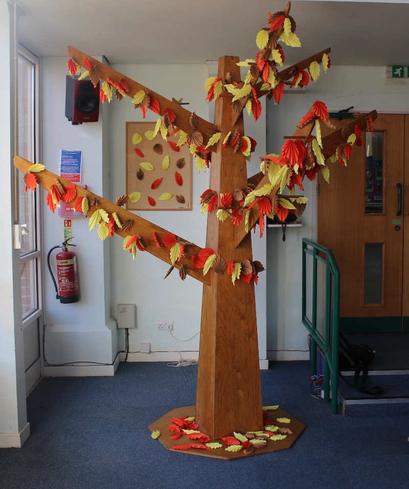 Belle Vue tree