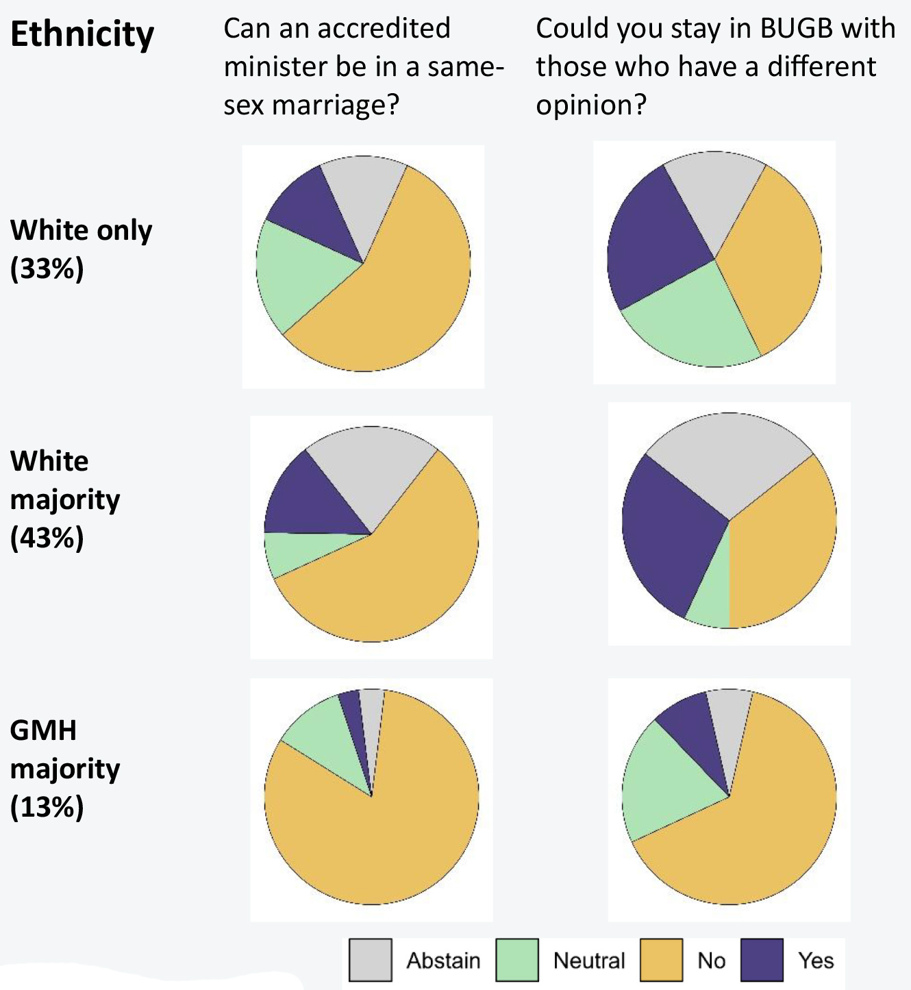 Chapter 3 Ethnicity pies