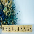 What can we do about resilience?  