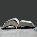 The Future of Biblical Interpretation   